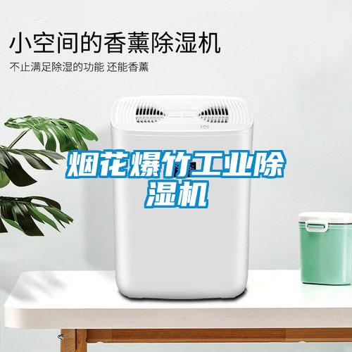 煙花爆竹工業(yè)除濕機(jī)