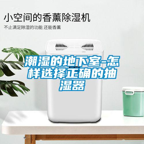 潮濕的地下室-怎樣選擇正確的抽濕器