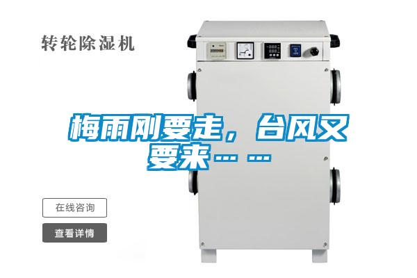 梅雨剛要走，臺風又要來……