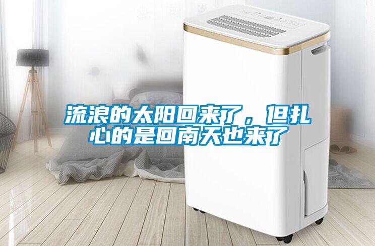流浪的太陽回來了，但扎心的是回南天也來了