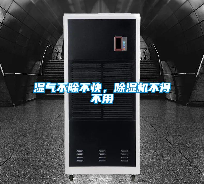濕氣不除不快，除濕機(jī)不得不用