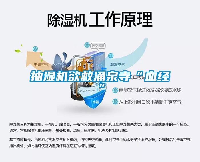 抽濕機欲救涌泉寺“血經(jīng)”