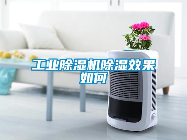 工業(yè)除濕機除濕效果如何