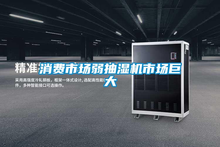 消費市場弱抽濕機市場巨大