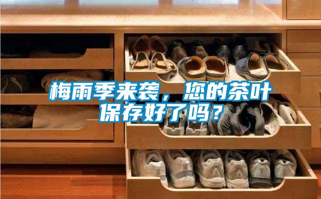 梅雨季來襲，您的茶葉保存好了嗎？