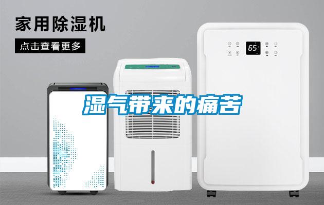 濕氣帶來的痛苦