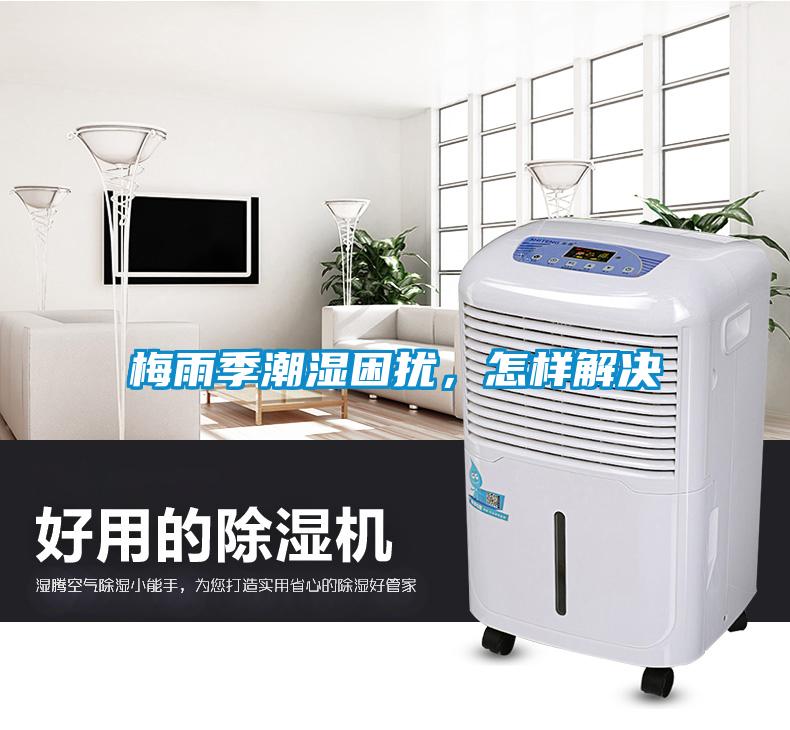 梅雨季潮濕困擾，怎樣解決