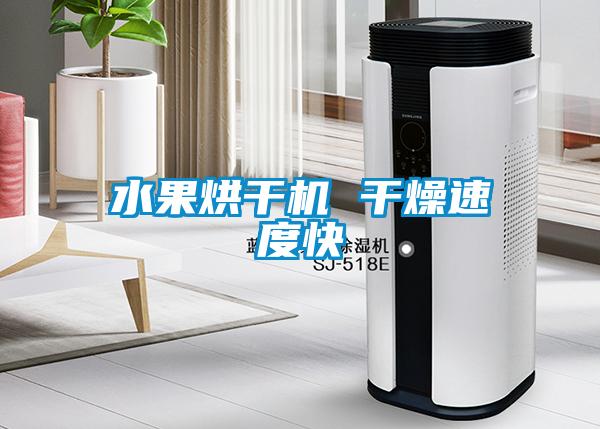 水果烘干機 干燥速度快