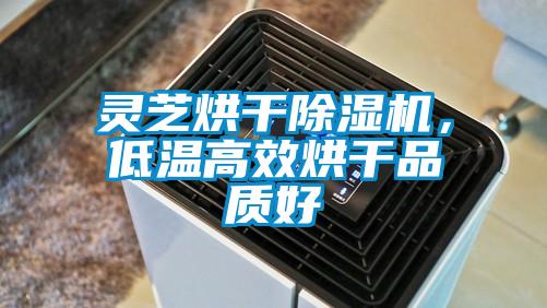 靈芝烘干除濕機，低溫高效烘干品質好
