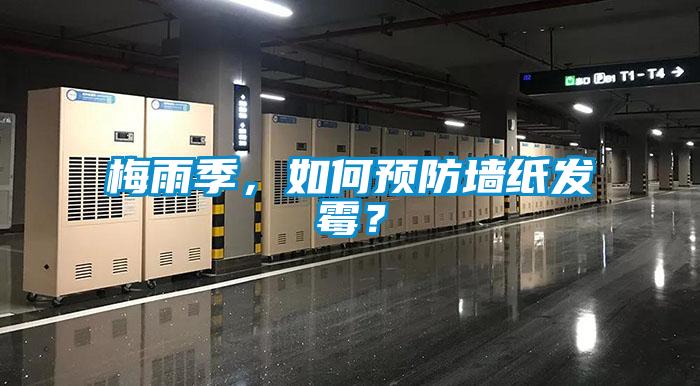梅雨季，如何預防墻紙發霉？