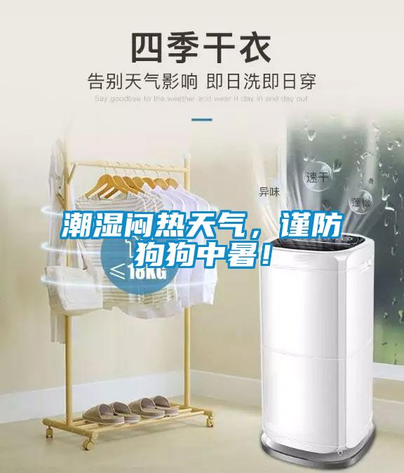 潮濕悶熱天氣，謹防狗狗中暑！