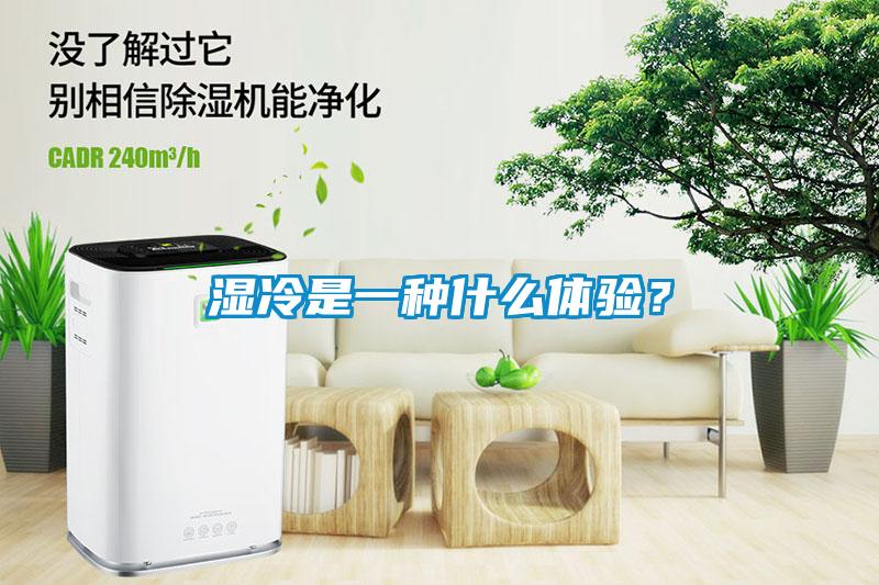 濕冷是一種什么體驗(yàn)？