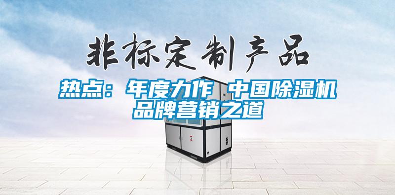 熱點：年度力作 中國除濕機品牌營銷之道