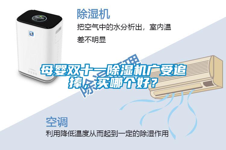 母嬰雙十一除濕機廣受追捧，買哪個好？