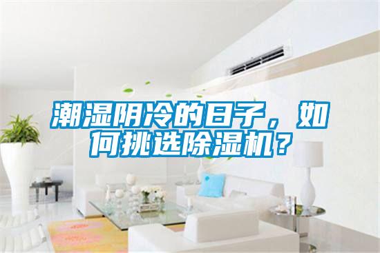 潮濕陰冷的日子，如何挑選除濕機(jī)？