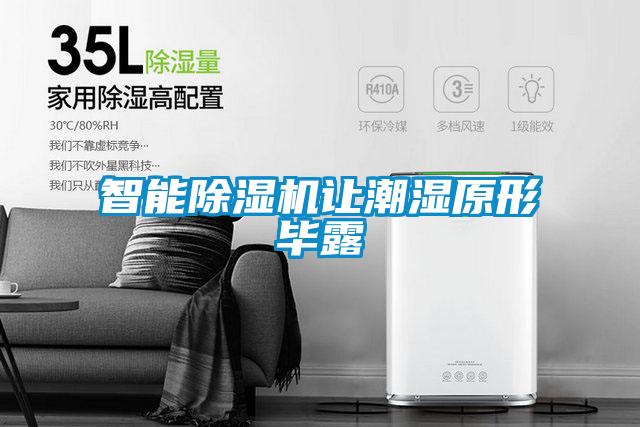 智能除濕機讓潮濕原形畢露