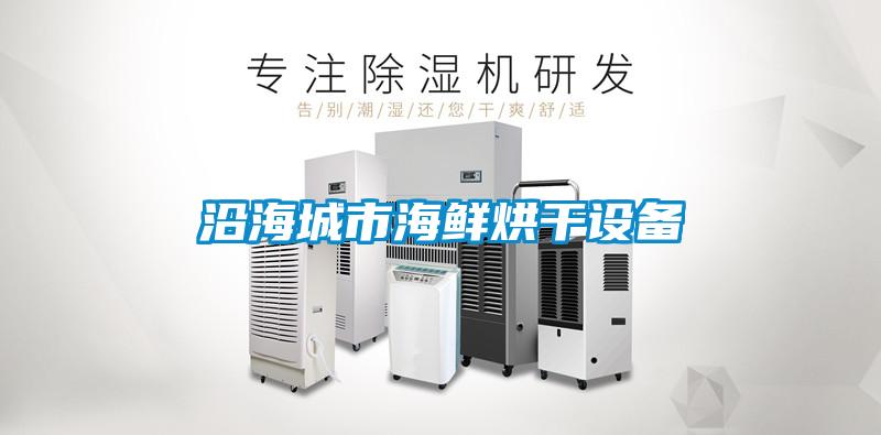 沿海城市海鮮烘干設備