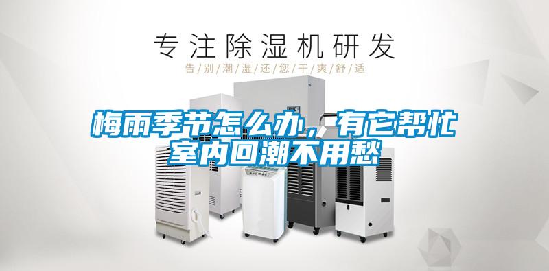 梅雨季節(jié)怎么辦，有它幫忙室內(nèi)回潮不用愁