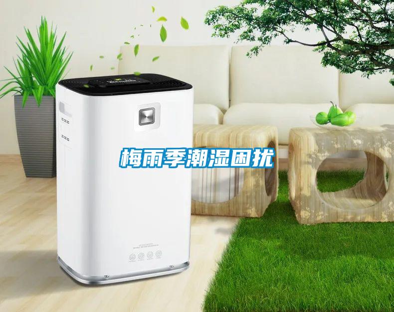 梅雨季潮濕困擾