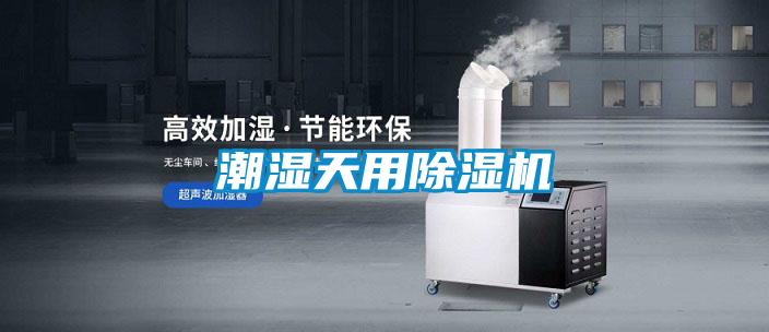 潮濕天用除濕機(jī)