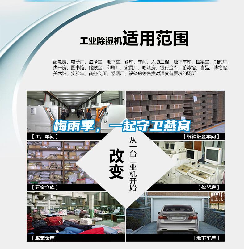 梅雨季，一起守衛燕窩