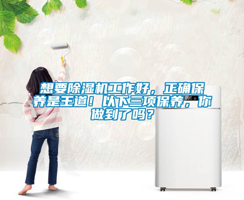 想要除濕機工作好，正確保養是王道！以下三項保養，你做到了嗎？