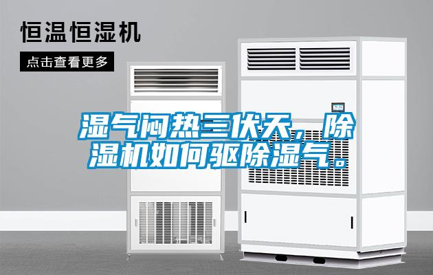 濕氣悶熱三伏天，除濕機如何驅除濕氣。