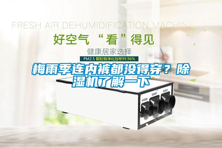 梅雨季連內(nèi)褲都沒(méi)得穿？除濕機(jī)了解一下