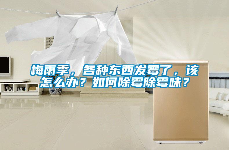 梅雨季，各種東西發霉了，該怎么辦？如何除霉除霉味？