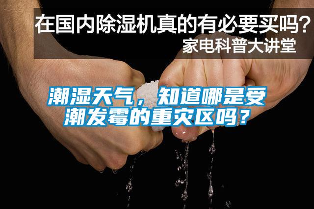 潮濕天氣，知道哪是受潮發(fā)霉的重災區(qū)嗎？