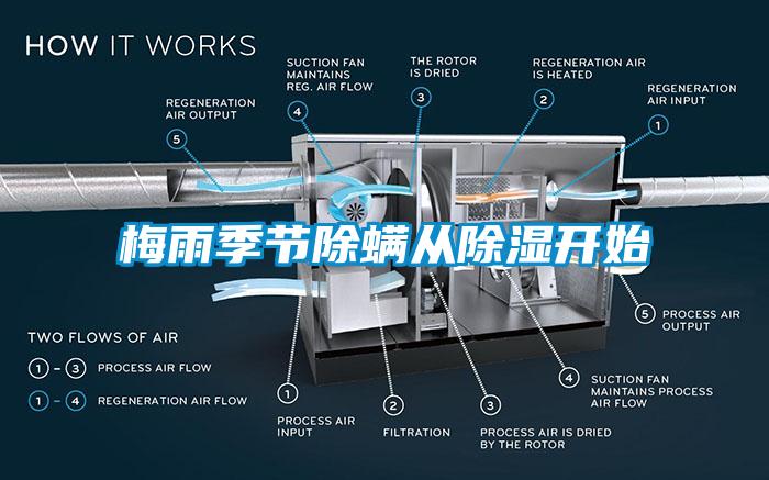 梅雨季節除螨從除濕開始