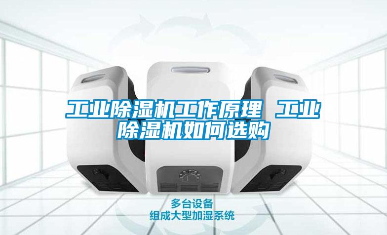 工業除濕機工作原理 工業除濕機如何選購