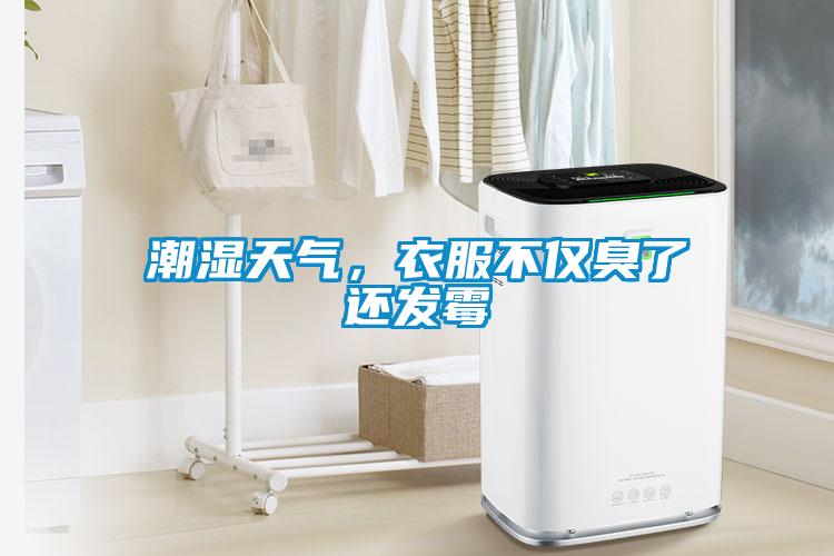 潮濕天氣，衣服不僅臭了還發(fā)霉