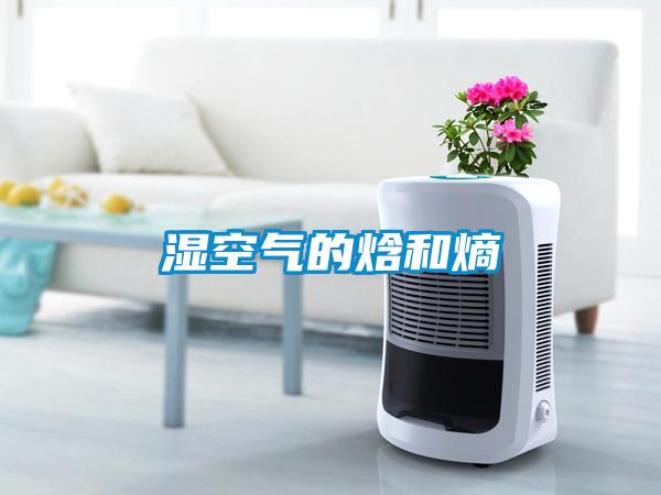 濕空氣的焓和熵