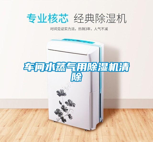 車間水蒸氣用除濕機清除
