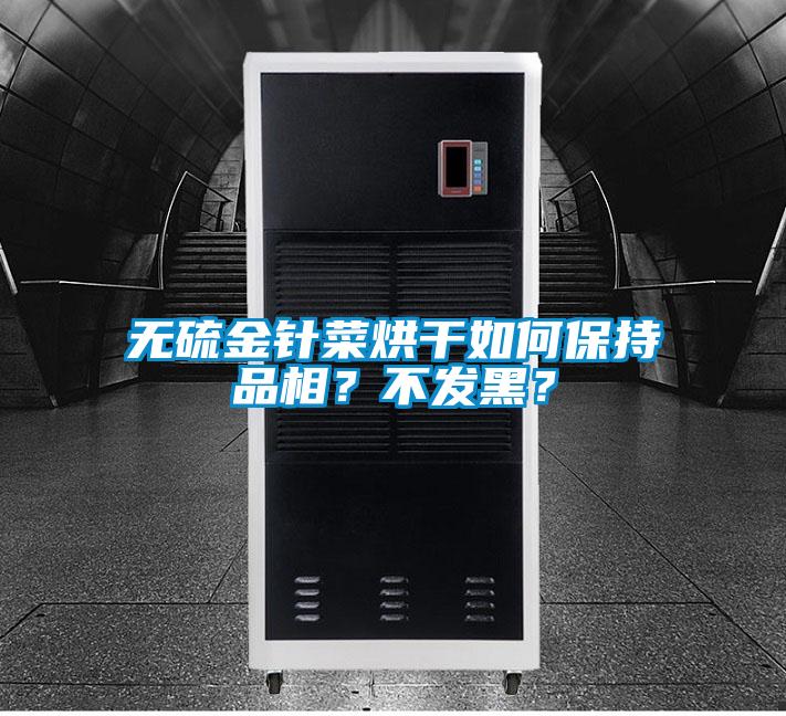 無硫金針菜烘干如何保持品相？不發(fā)黑？