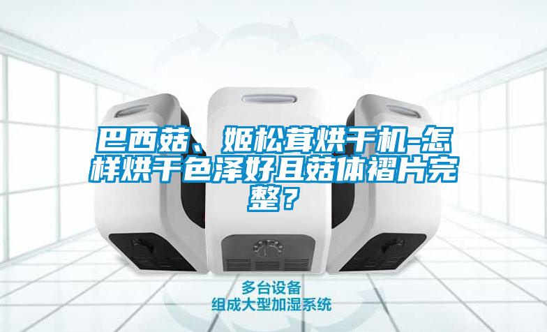 巴西菇、姬松茸烘干機-怎樣烘干色澤好且菇體褶片完整？