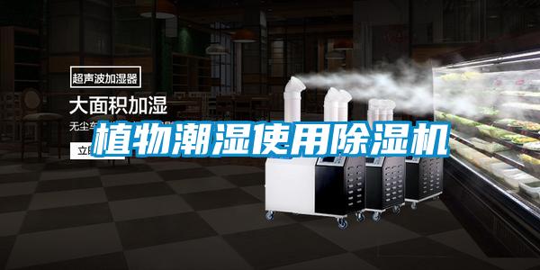 植物潮濕使用除濕機