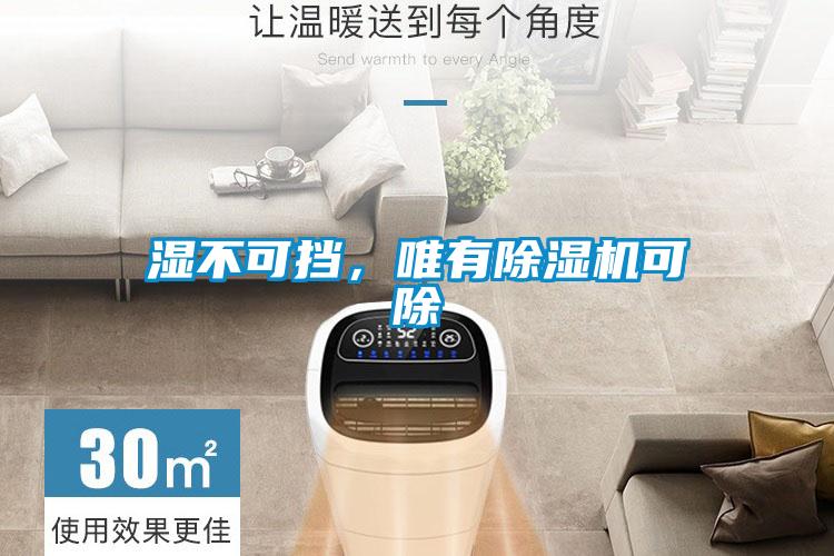 濕不可擋，唯有除濕機可除