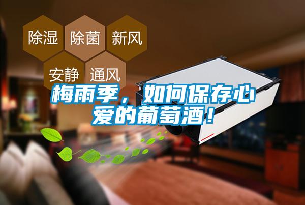 梅雨季，如何保存心愛的葡萄酒！