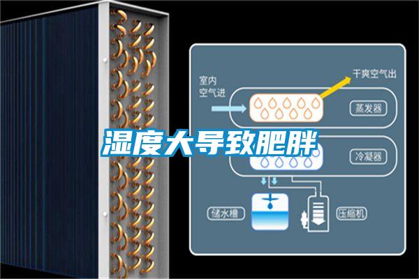濕度大導致肥胖