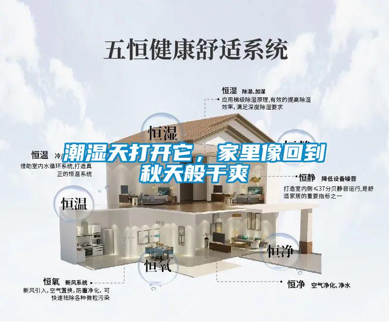 潮濕天打開它，家里像回到秋天般干爽