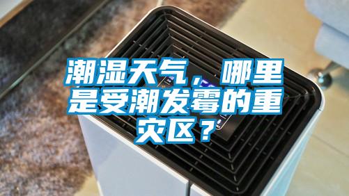 潮濕天氣，哪里是受潮發(fā)霉的重災(zāi)區(qū)？