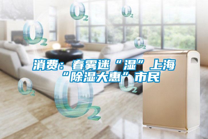 消費：春霧迷“濕”上海 “除濕大惠”市民
