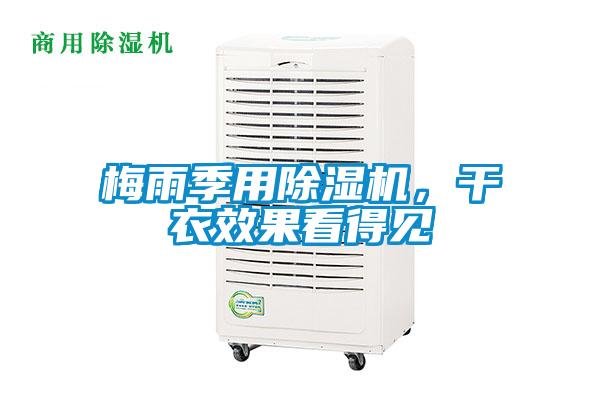 梅雨季用除濕機，干衣效果看得見