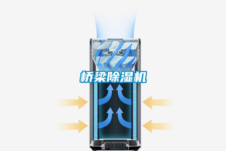 橋梁除濕機(jī)