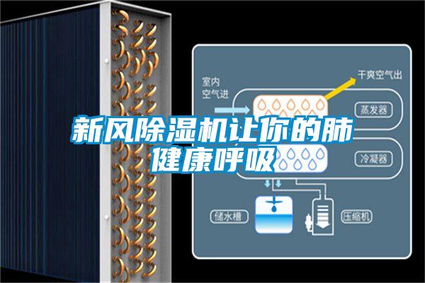 新風(fēng)除濕機(jī)讓你的肺健康呼吸