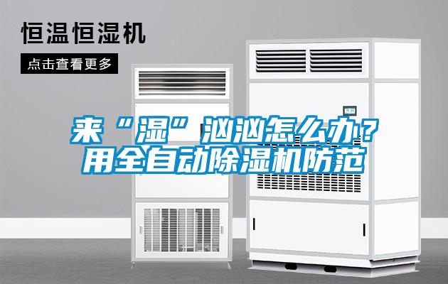 來“濕”洶洶怎么辦？用全自動除濕機防范