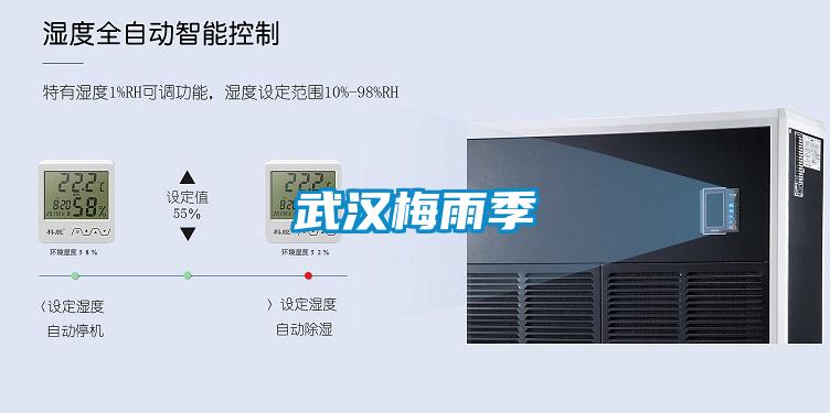 武漢梅雨季