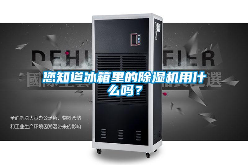 您知道冰箱里的除濕機用什么嗎？